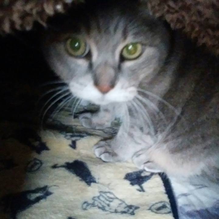 5fed467d 7073 4edc b35c 7555b6c77c97 1543042732379