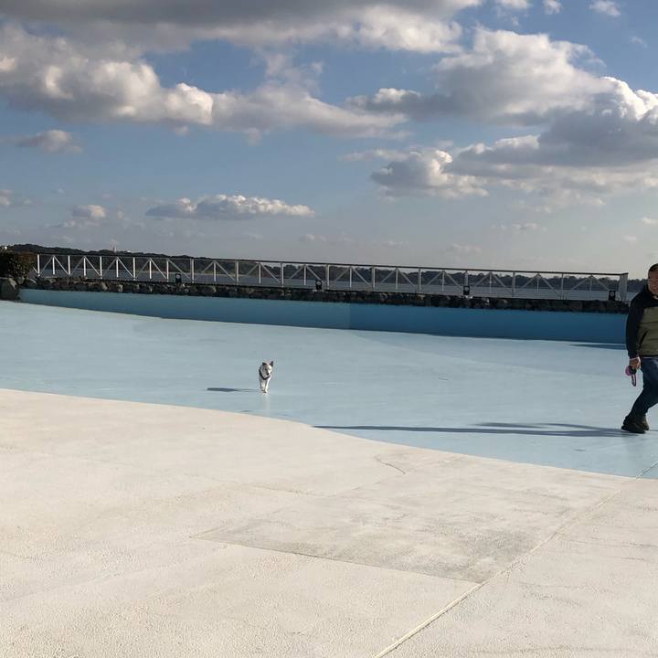 5fed676c ea01 4748 a2bd fe1634a1084e 1578918645634