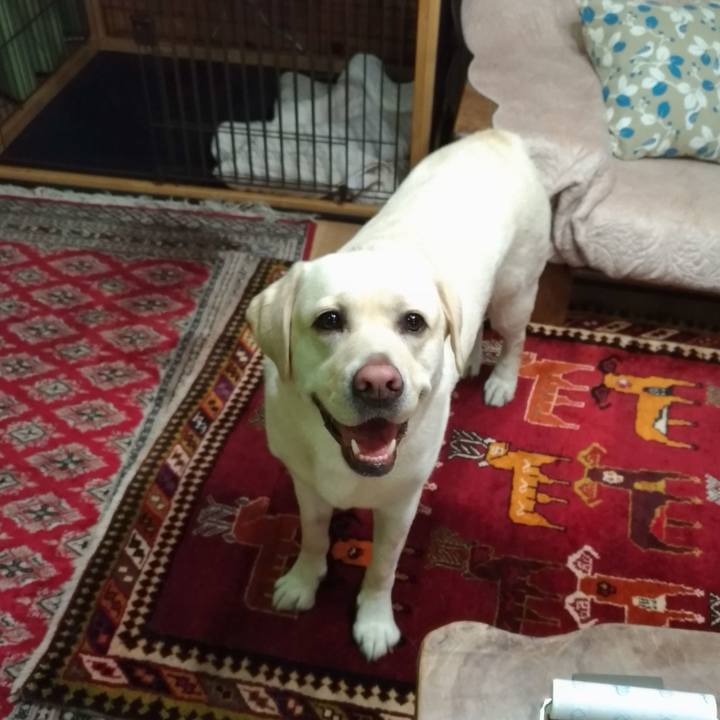 5fed735d 6641 4d8d a1c9 ffc57d6106c9 1559735414538