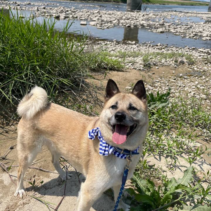 5feda140 35ee 43f9 b2d1 a324f4ff099b 1653218733598