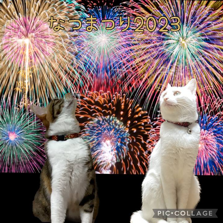 5fee1bd1 6441 4fee a79f e3c84651dfbb 1693039164312