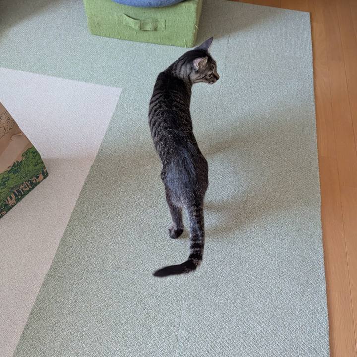 5fee351a d667 4c34 b14f bda884336ba6 1737712544085