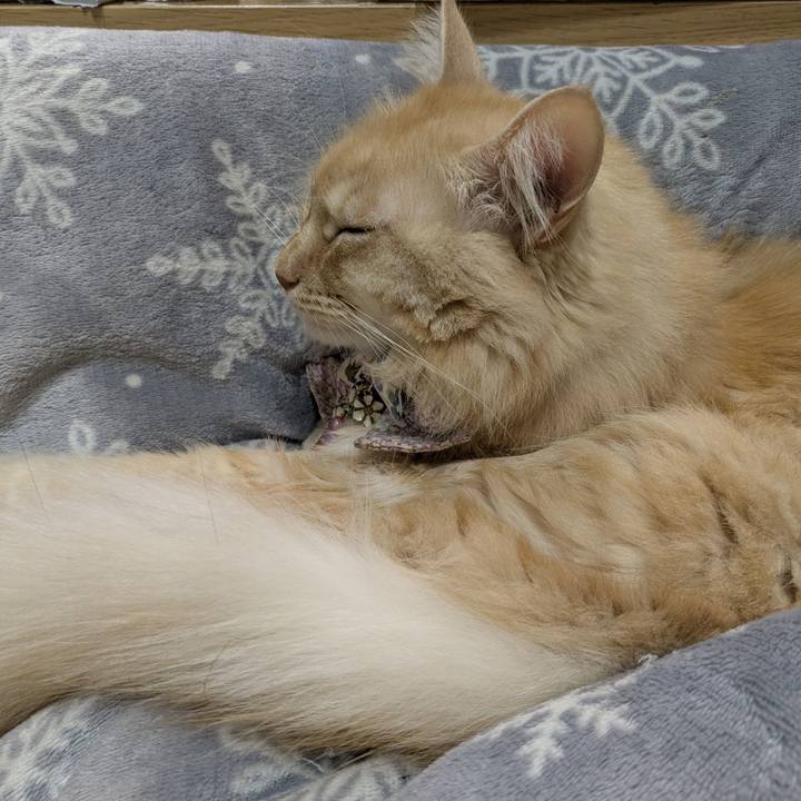 5fee45c0 0443 4a58 bfdc 069e6bd8b3d9 1763199249417