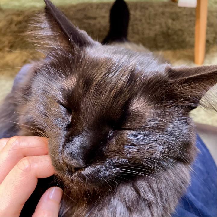 5fee5693 6f03 4613 b894 5895b42451df 1769343430856