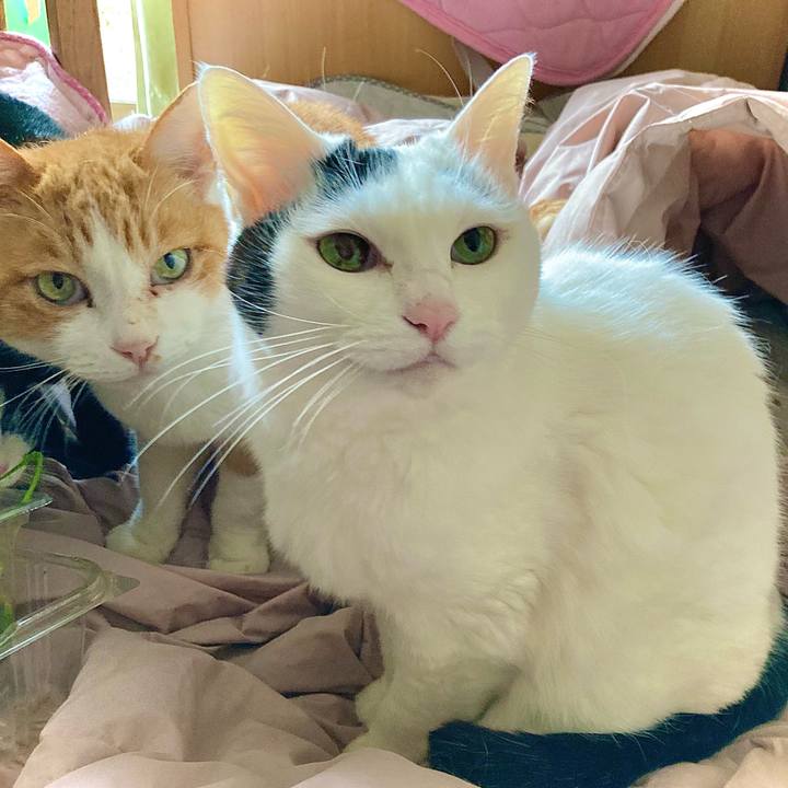 5feea715 34f9 4056 836b 4b83bb5ac31f 1673060377323