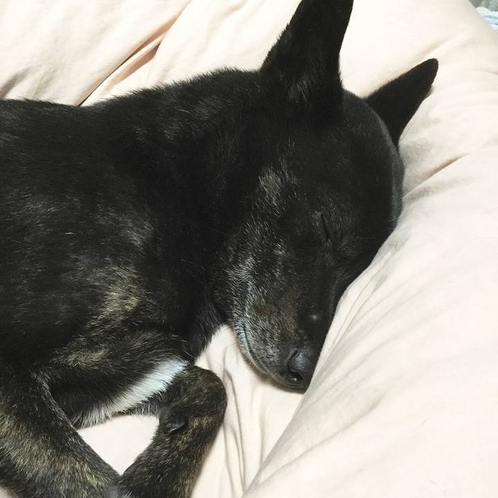 5feebfe4 708a 4261 97f1 ac1741c74afc 1558526405228