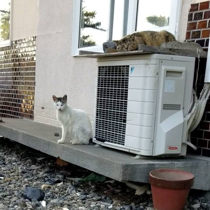 5feec301 889e 4150 ae35 530e3885dd59 1685188513689