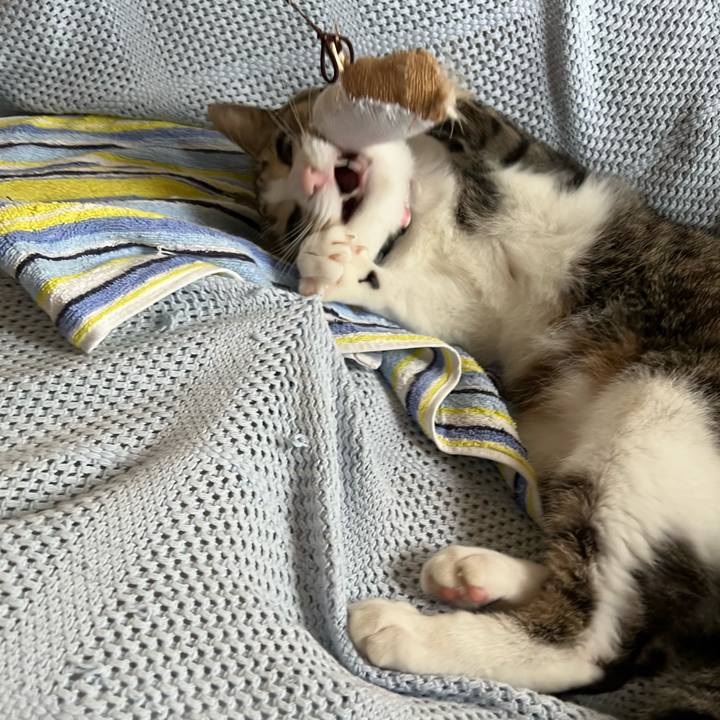 5feeea70 8bee 429d bed1 b9baafdb55bd 1724062995232