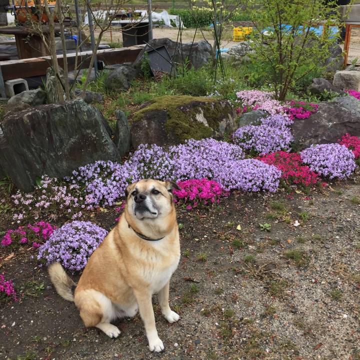 5feef172 12ec 47d7 a8de 8f6d2dfbd1a1 1523923058918