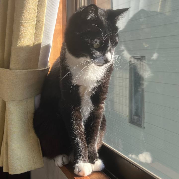 5fef00c5 9b18 4772 bf02 3f8b53961b44 1740815497493