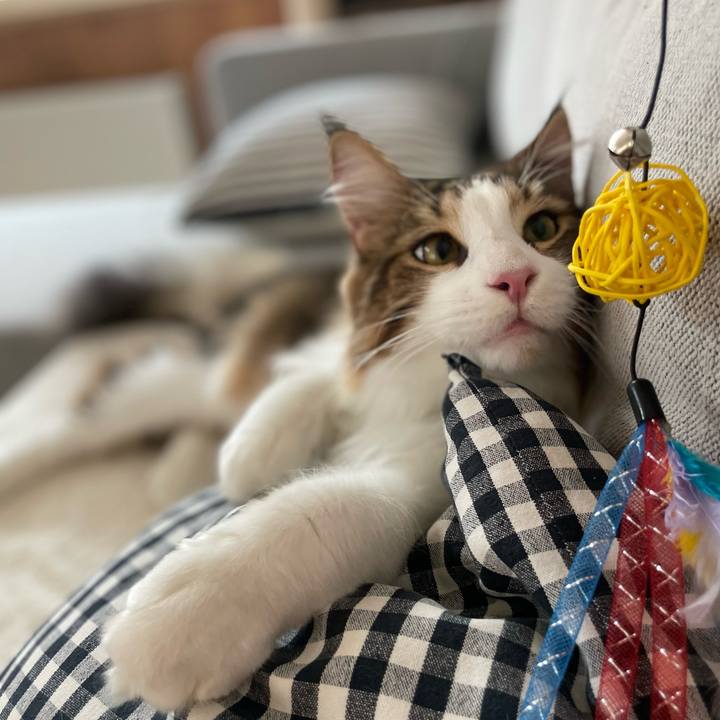 5fef2f7e 0602 4418 90f7 b44887ca98e4 1651361530756