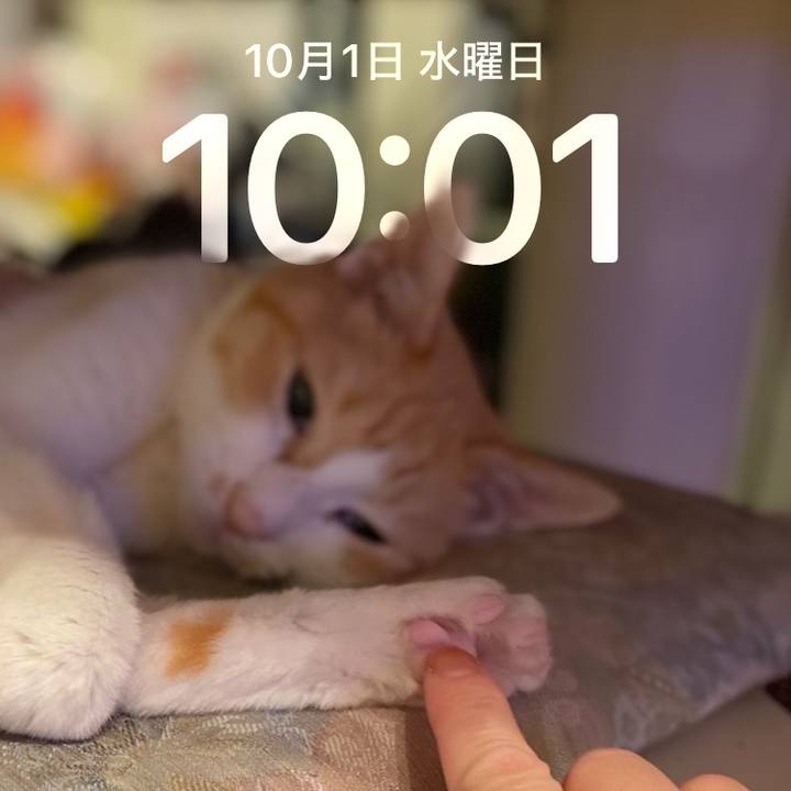 5fef7cbb 0744 4b4d 8e31 bed3dfccf665 1759323735134