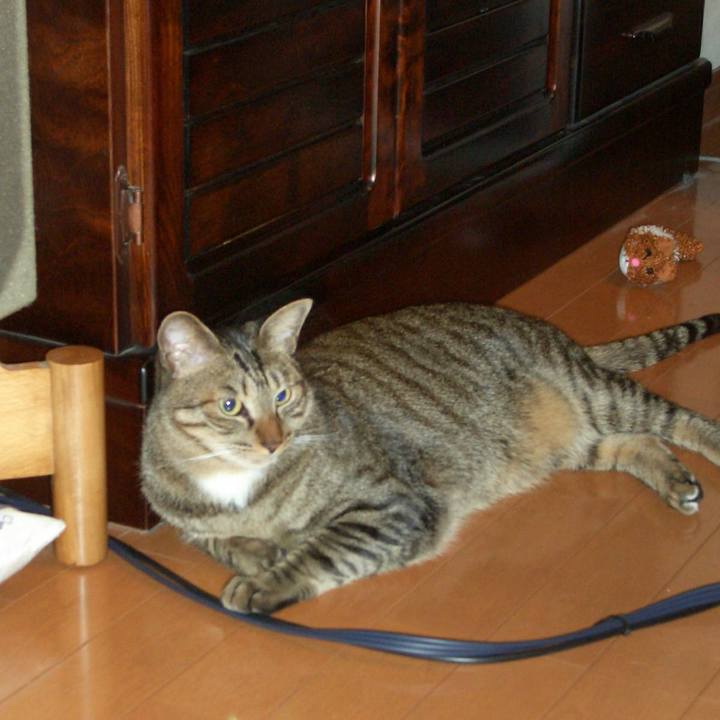 5fef8c3c 10a6 4aeb 97ea 047120001567 1579526470940