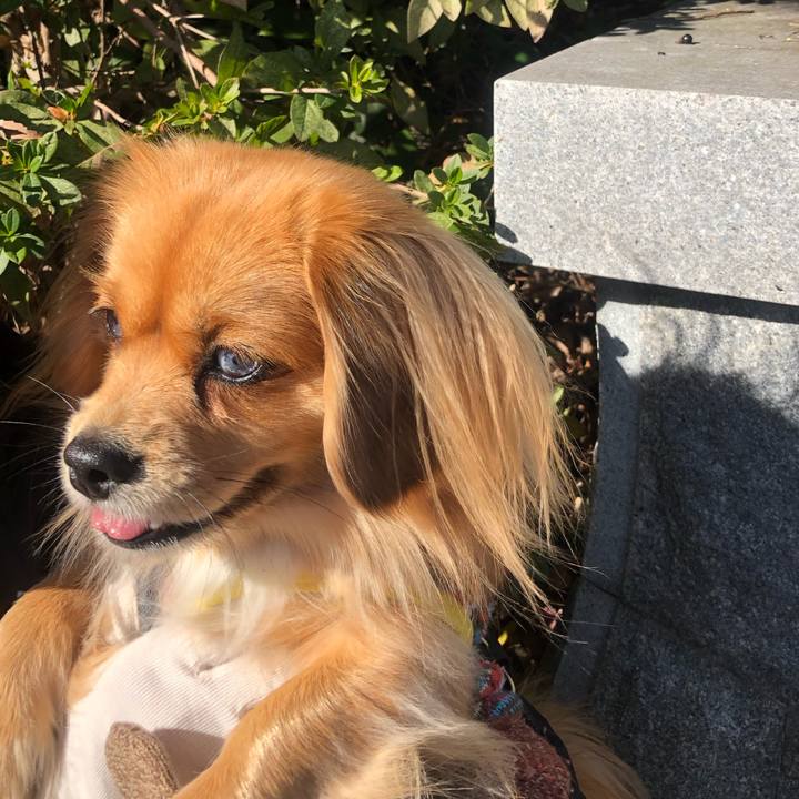 5fef8ed3 33ca 4752 b676 317b1fa16ec9 1546485500388