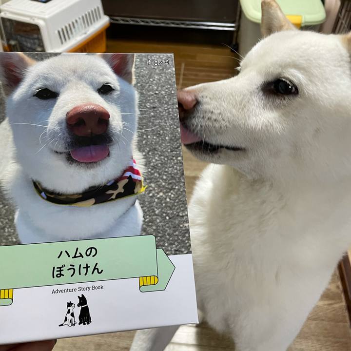 5fefc02f abd4 4269 930f 88790b9e5ee6 1625104114334