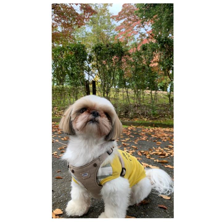 5fefe40c ba32 4b9e bd77 d0fa87753620 1603029597174