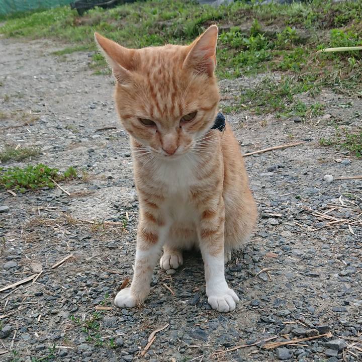 5ff00a0a 40a2 4f6c 8785 496887fd590a 1563223671848