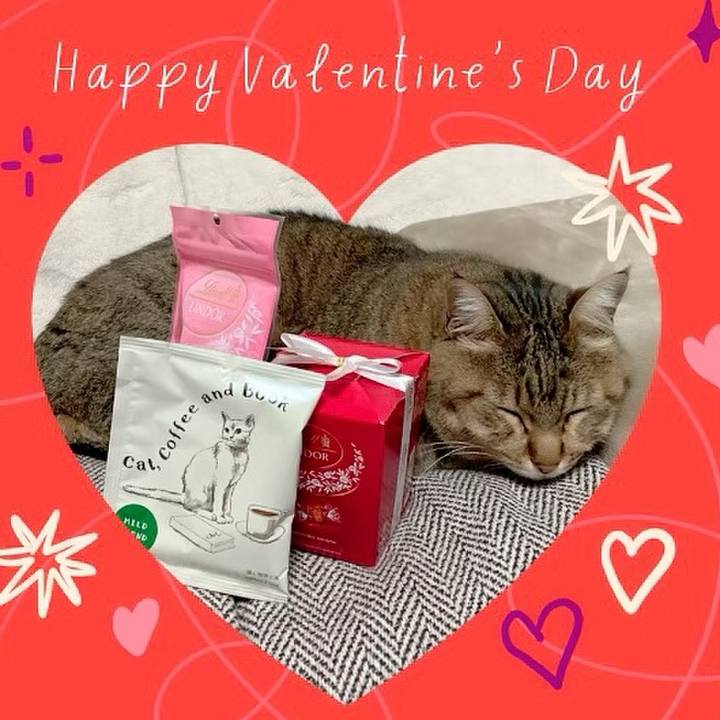 5ff0132e dcb5 49f7 9ea1 6665f17fc228 1676331930888