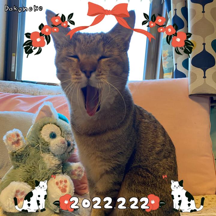 5ff01ea8 e7c2 430b 8457 0849f5b44ed5 1645536499341