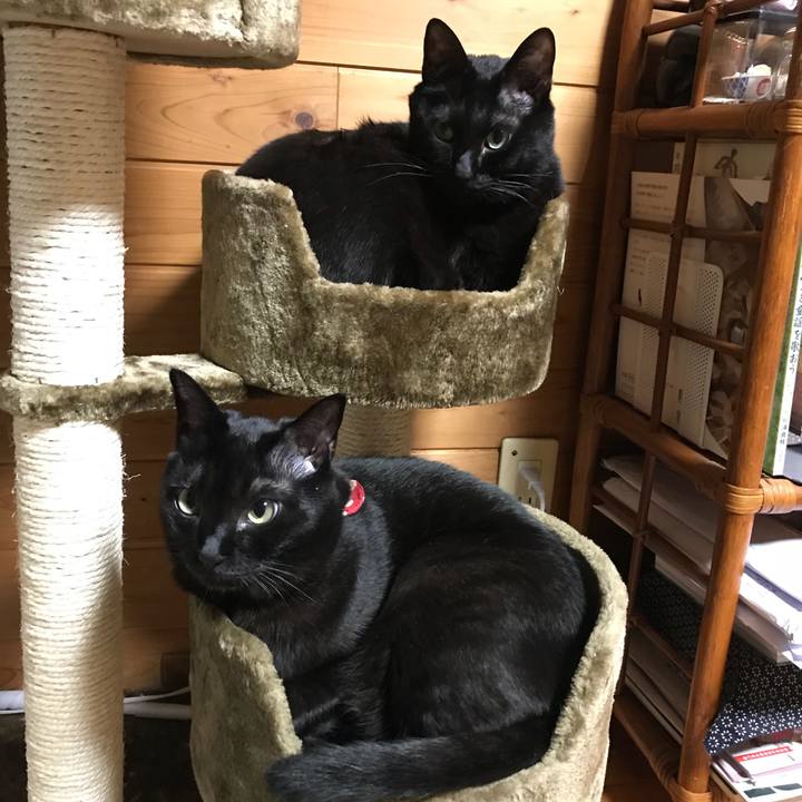 5ff0426d a01e 41b3 8dce 42997cd620f6 1516024366096