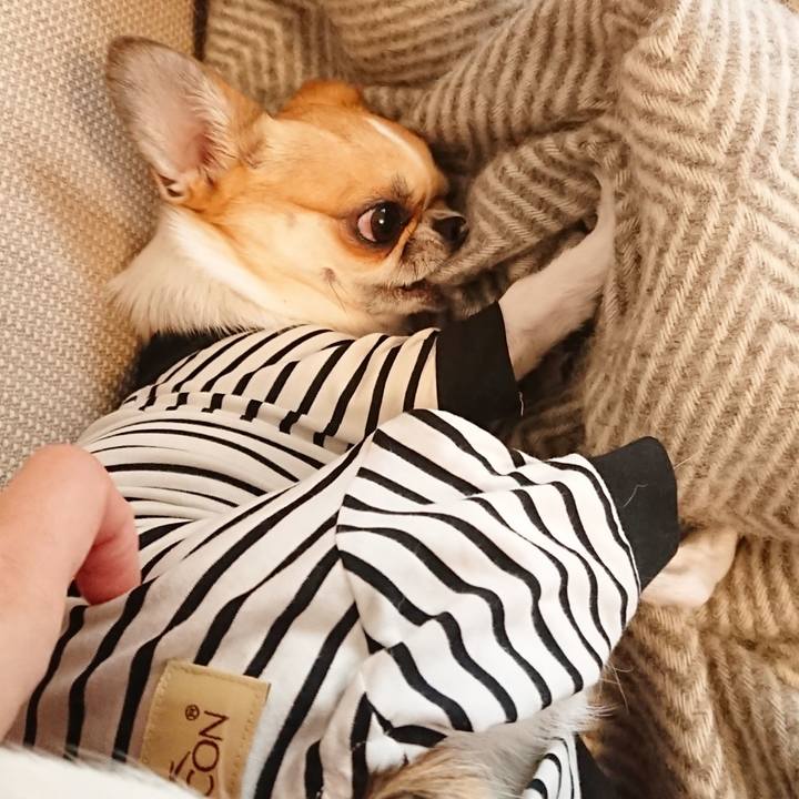 5ff0b6ce d50d 41e3 8838 9b55262c36c4 1580167061978