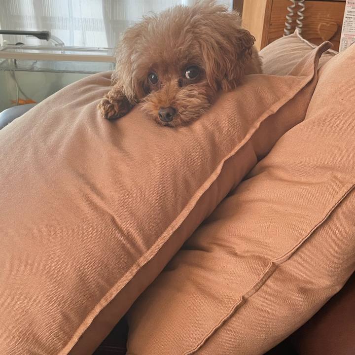 5ff0cc8f 7af9 4900 8115 211e46b29d55 1669516492655