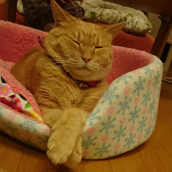 5ff0fc03 ec09 4d57 907a 65f664e7e589 1527514733261