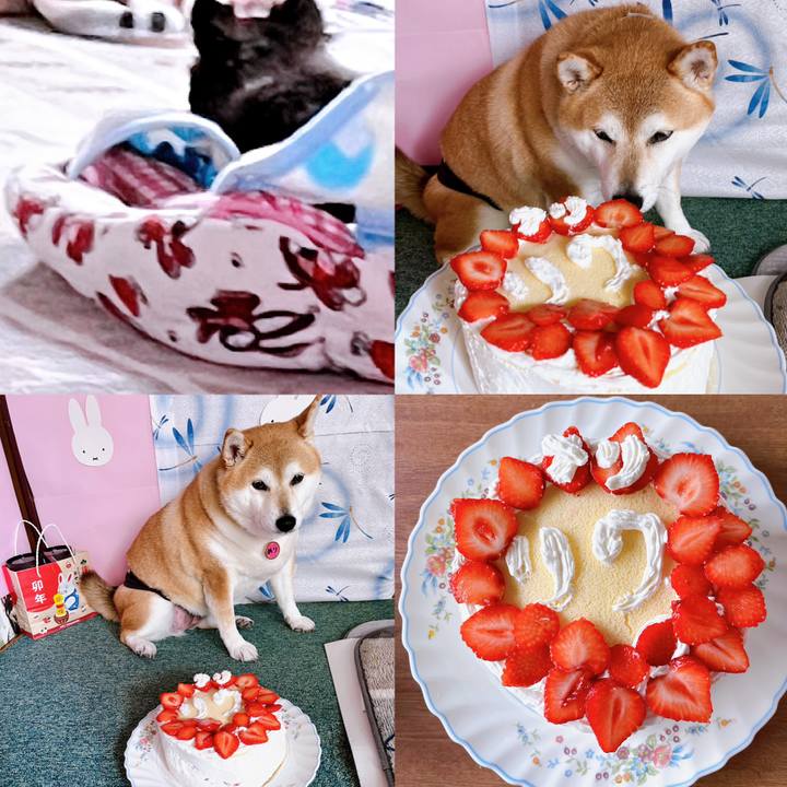 5ff11167 d163 4d28 ae57 b38690a86808 1673610521913