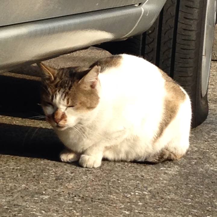 5ff12ba5 79ba 4db3 93b6 b849f8ef0a2f 1514181560744