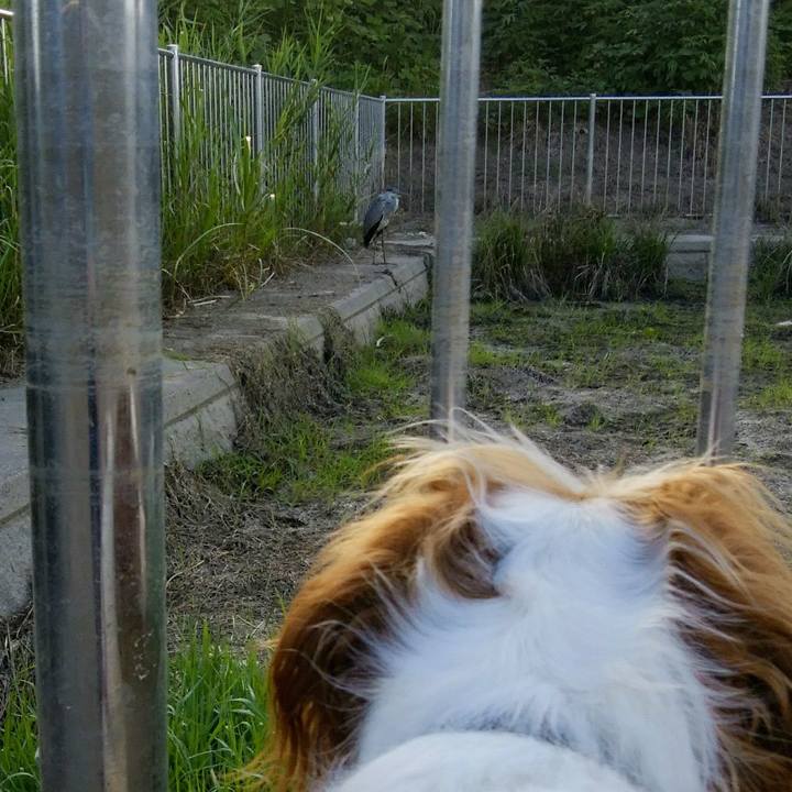 5ff1506a f1f8 4e7f bd62 419944cfe40f 1534983622187