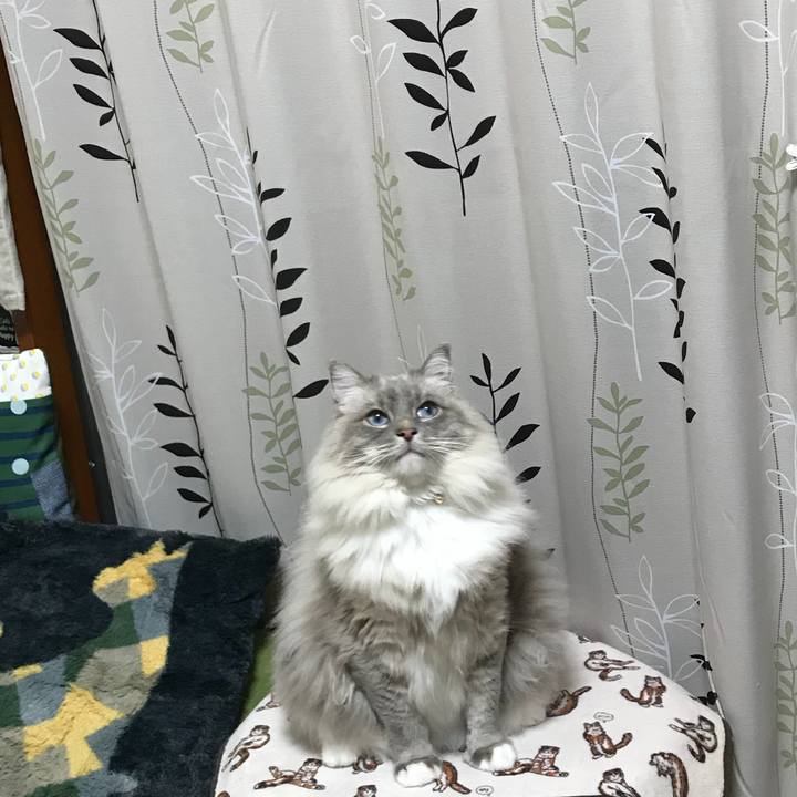 5ff1715c 3ea3 4433 9a00 bd11b51844a1 1516662788988