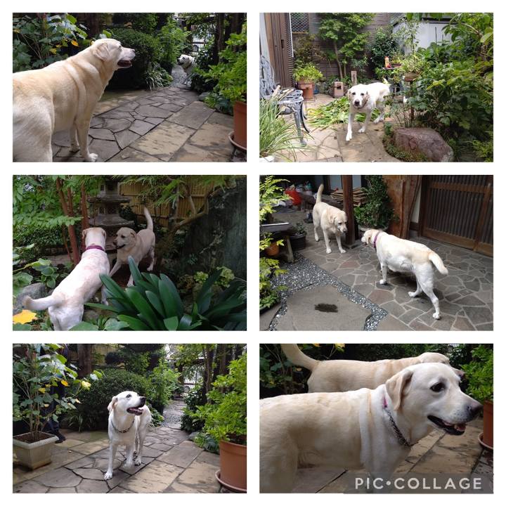 5ff1739c 9808 4819 838e e94bfb7d957a 1696477420595