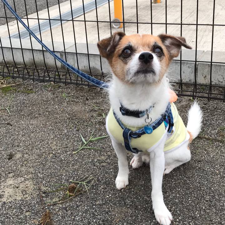 5ff17932 ca89 4f78 b85d 669621dd2b7c 1537655999333