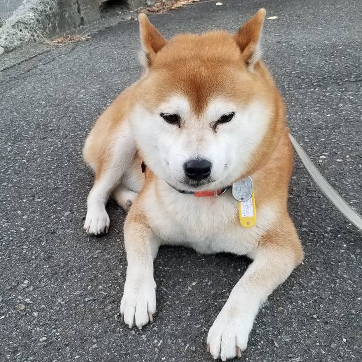 5ff180f2 f8d0 48f7 b2c1 be798ef02a4d 1540453156908