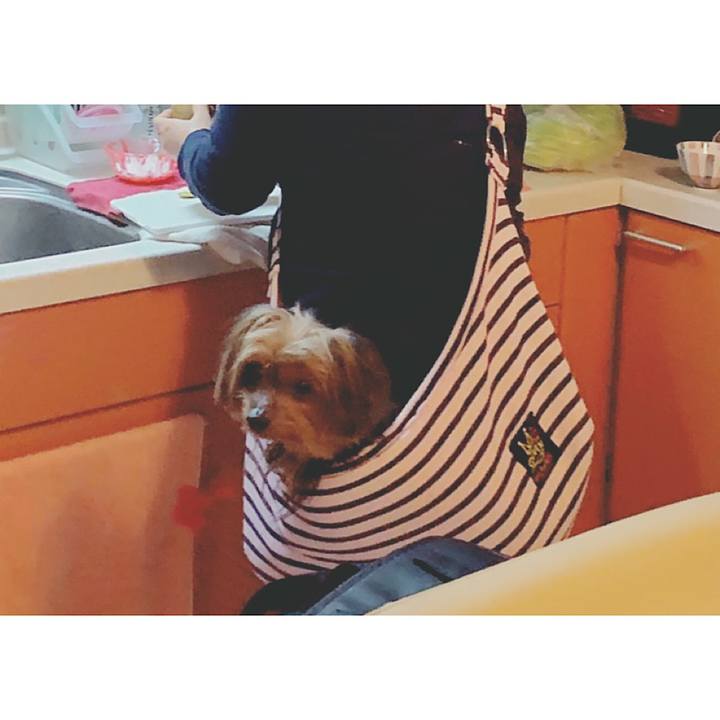 5ff19b7b e954 4679 bc89 3c785ae194ee 1547016988189