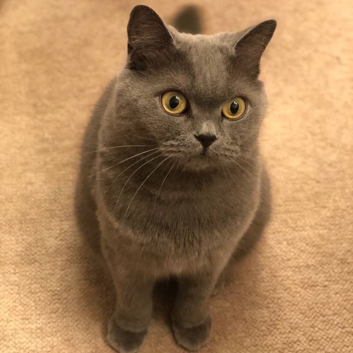 5ff1a4b4 a499 4757 b831 3628f483dff4 1542025300350