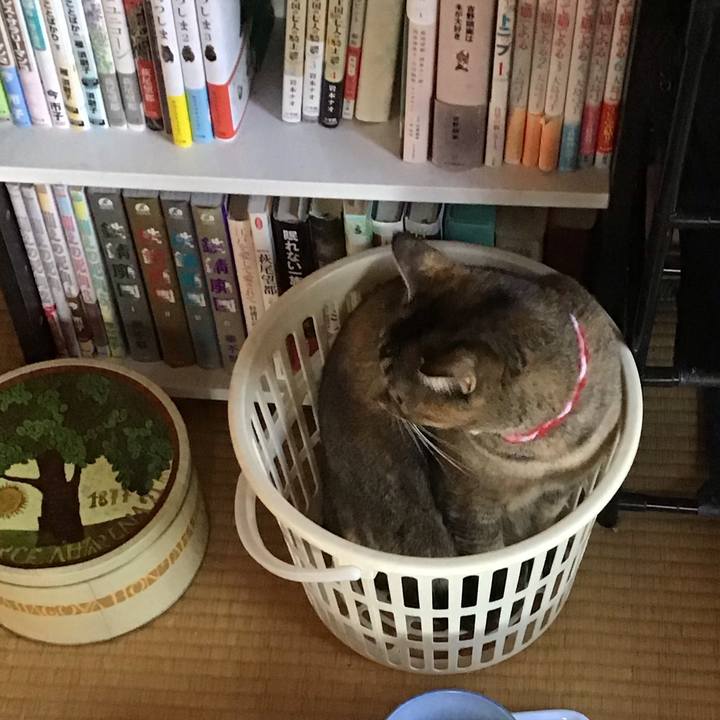 5ff217ed 7a95 486d 8b6a b3babfe96c7c 1606194935873