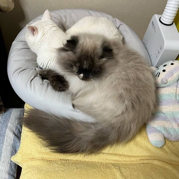 5ff2301d 2d44 4993 9f30 03bed7d77b53 1711194520717