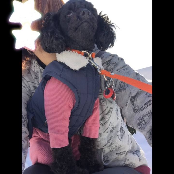 5ff25bfb 979a 48b9 aea5 028daa889409 1516690797005