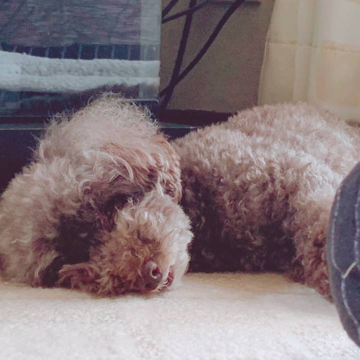 5ff25cce 857f 4f68 bb7e caf6fb64adab 1595382793076