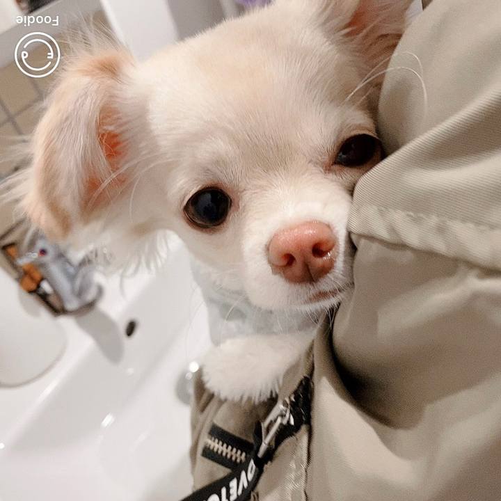 5ff27228 03dc 444d 8b96 550c644298af 1605137196989