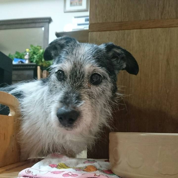 5ff296da 2b75 4c06 9c71 880ed78a9c39 1514727634018