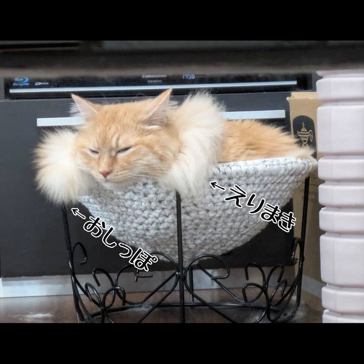 5ff2e80f a5da 4e7f a883 096973c85ea7 1750933387935