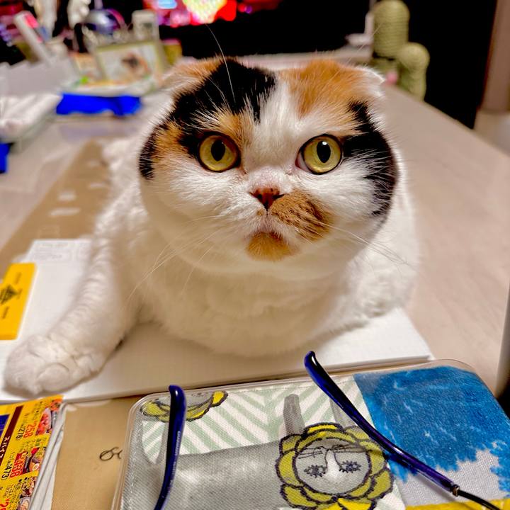 5ff34337 18d0 462a 8ad9 8a3920616b35 1704881486721