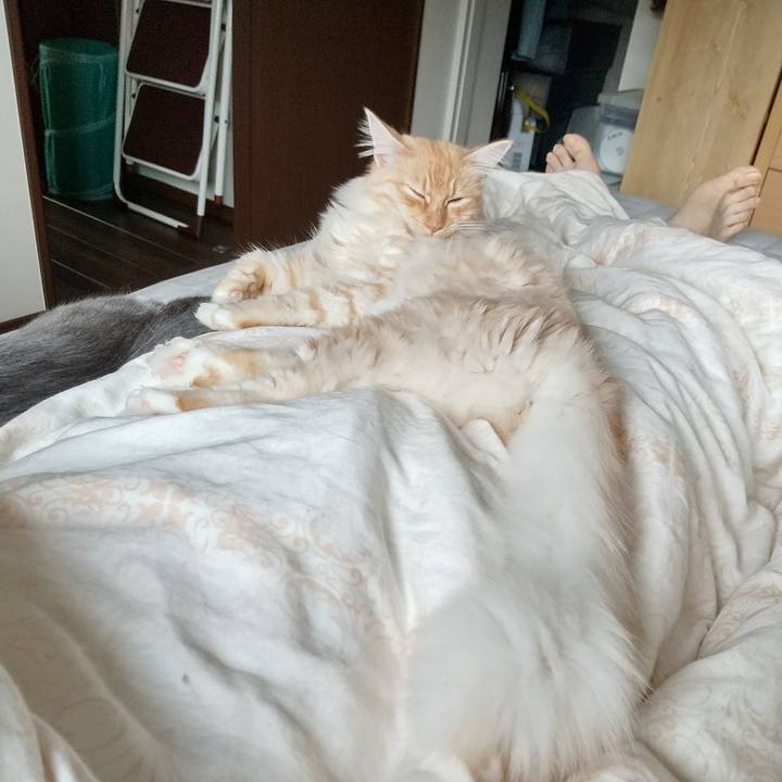 5ff3487f effc 4231 9f92 4dd0a7aa8aae 1621723650259