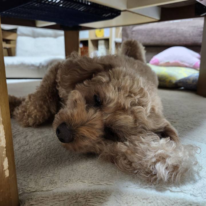 5ff36450 9095 4e1b a24c cfb3f692c5bc 1764631326786