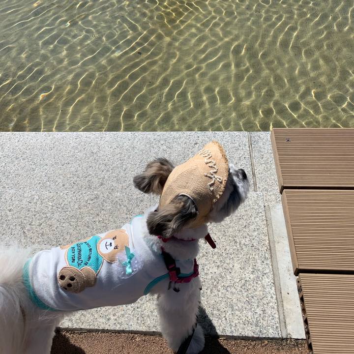 5ff3658d d30c 4ac8 a8dc caf803bd6560 1570614062259