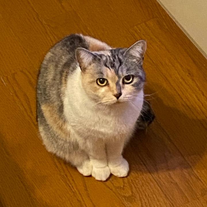 5ff374eb c239 4616 b57c 7b3cc073e992 1577025076553