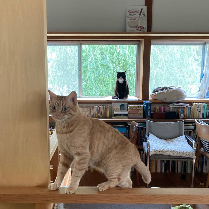 5ff37559 0dba 4ca6 bb44 e6013d35bfdc 1590193668992