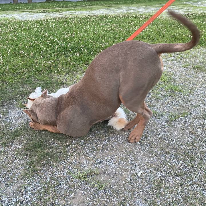 5ff37df6 6ced 4496 bb45 b1624069d6ba 1656595082208